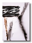 Věčná pomíjivost (Oči) XIII, 2009,100x70 cm